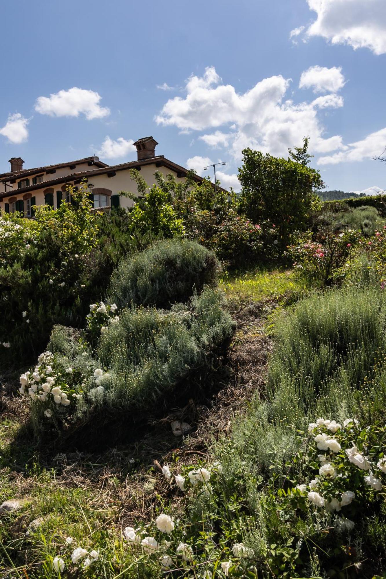 Tenuta Borgo San Michele Gubbio Zewnętrze zdjęcie